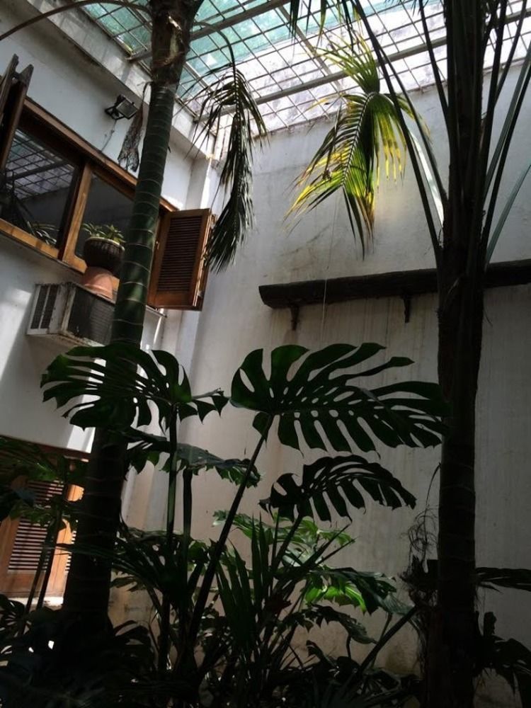 Buenas Vibras Montevideo 蒙得维的亚 外观 照片